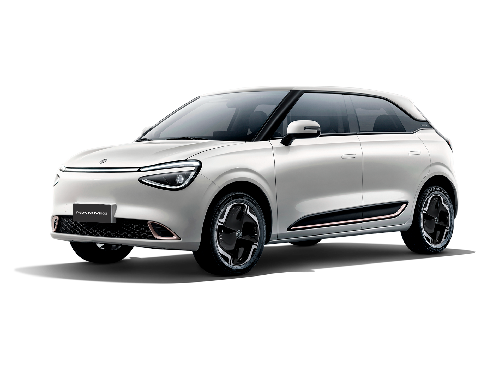 Imagen Dongfeng Nammi